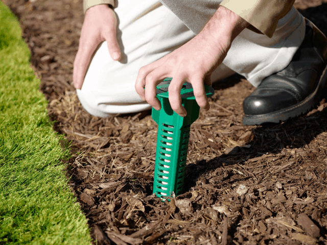 Pest Control Termite Treatment: How Long Does It Last?