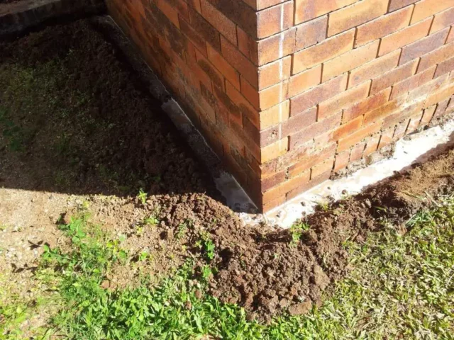 Termite Barrier Sydney: Is It Worth the Investment?